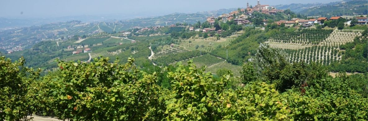 Langhe, andar per nocciole e ricerca del tartufo